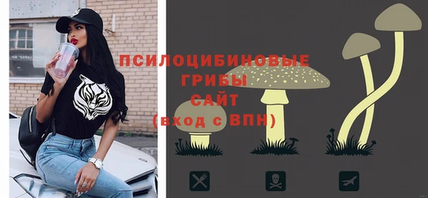 PSILOCYBIN Бородино