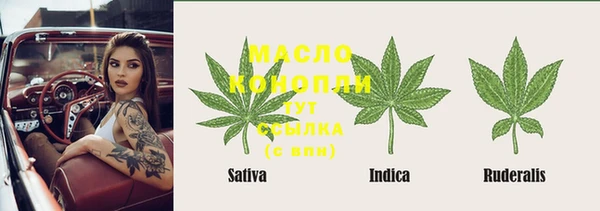 PSILOCYBIN Бородино