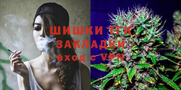 PSILOCYBIN Бородино