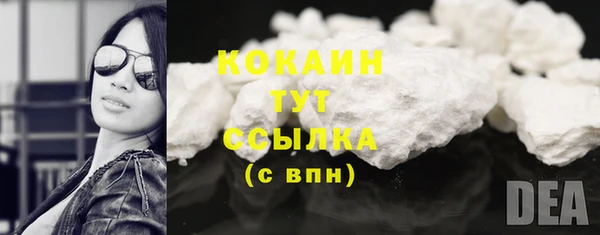 PSILOCYBIN Бородино
