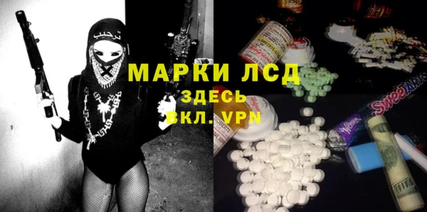PSILOCYBIN Бородино