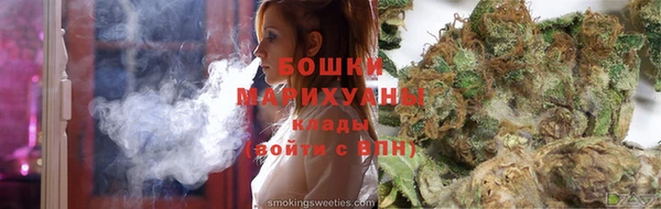 PSILOCYBIN Бородино