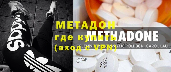 PSILOCYBIN Бородино
