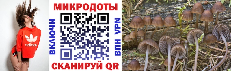 Галлюциногенные грибы Cubensis  блэк спрут ТОР  Карталы 