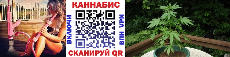 МАРИХУАНА White Widow  купить наркотик  Карталы 